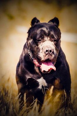 Zagwostka - kto może pomóc?